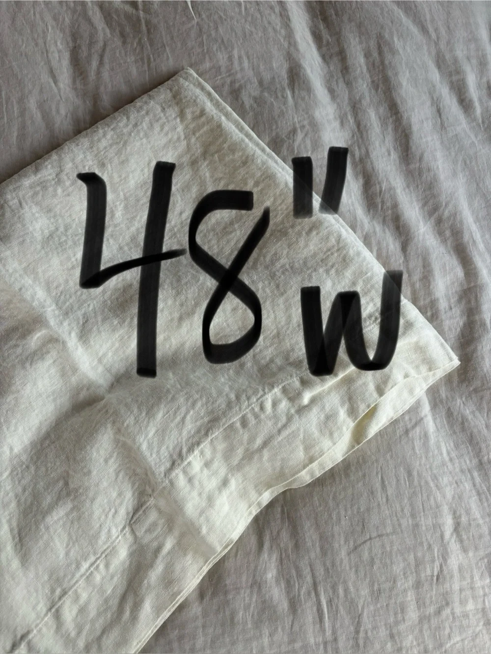 Restoration Hardware Linen Drapery Panel